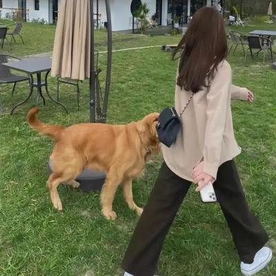 得州巡警:独立